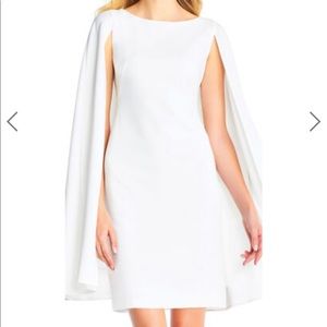 Adrianna Papell Cape Sheath Dress